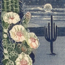 inmeteredlines avatar