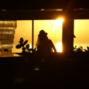 innamoratapersa00 avatar