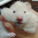 innatelyspectralthief avatar