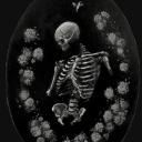 inner-enemy-collector avatar