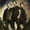 innercollectionwonderland avatar