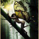 innernutshell-blog avatar