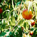 innersideofthewind avatar