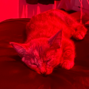 innocentlyfastwonder avatar