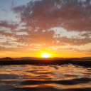 innocenttangel avatar