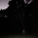 innocuously-ostentatious avatar