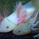 innoquous-blog avatar