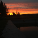 innovatedphotography avatar