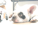 inocoo-blog-blog avatar