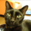inoshovm-blog-blog avatar
