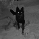 inperfectimperial avatar