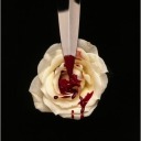 insanedeathwish avatar