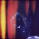 insaneforthemaine avatar