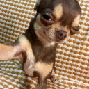 insaneteddwane avatar