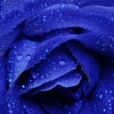 insanimagination avatar