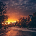 insanirkinayabanci avatar