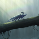 insanity-all-the-time avatar