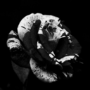 insanity-is-my-midddle-name avatar