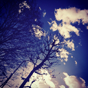 insankiligindagulumseyisler avatar