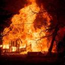 insanlaristasyonu avatar