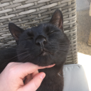 insatiablebitchgoddess avatar