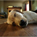 insatiablesins avatar