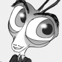 insectdawn avatar