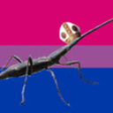 insectoidcelebrant avatar