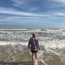 insert-domain avatar