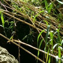 insert-unicorn-here avatar