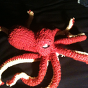 insertcreativeandwittyusername avatar