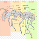 insertnamehere4 avatar