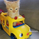 insertpicachumeme avatar