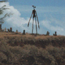 insertslavusername avatar