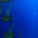 insertusernameherenowplease avatar