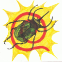 insetoespiral avatar