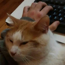 inside--your--mind avatar