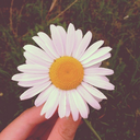 inside-of-myself avatar