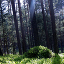 insidemy-head avatar