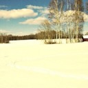 insidethetureen avatar