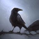 insincerlyyours avatar