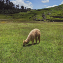 insomnio-para-escribir avatar