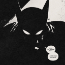 insomniologist avatar