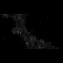 inspiration-42 avatar