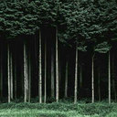 inspiration-at avatar