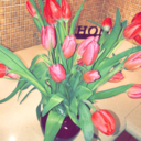 inspirationalgarden avatar