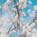 inspirationalsnow avatar