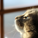 inspirationery-blog avatar