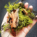 inspirationforasage avatar