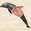 inspirationos avatar